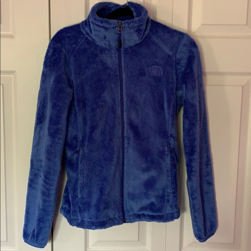 Blue Osito Northface Jacket